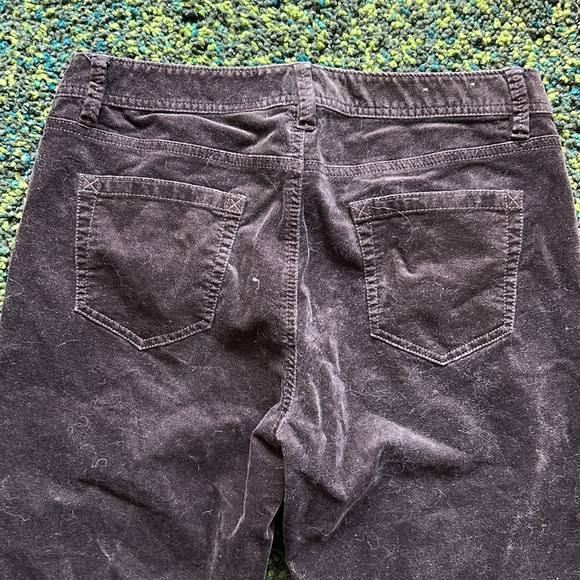 Eddie Bauer Brown Velvet Flared Pants - Picture 5 of 5